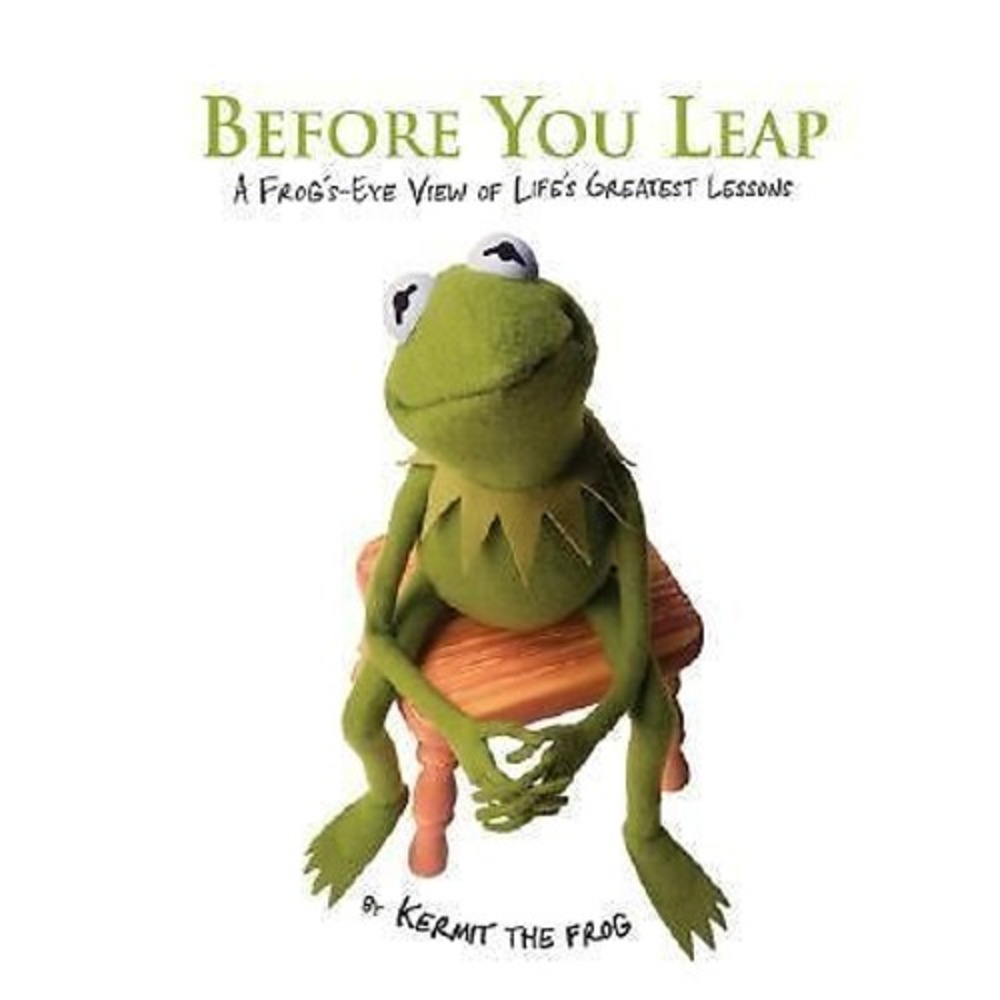 Before You Leap: A Frog's Eye View of Life's Greatest Lessons - Hardcover NEW!